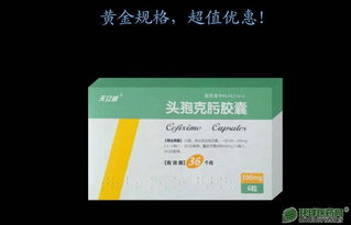 招商代理 排毒养颜胶囊、氨咖黄敏胶囊、阿莫西林胶囊及专利代理服务