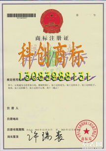 图 临安市商标专利哪里注册 科创商标专业代理 杭州商标专利