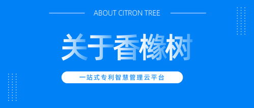 企业专利申请材料全指南 为何需要专业代理